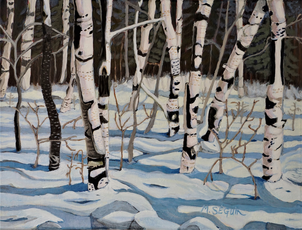 'Pink Birch' - Canvas Print