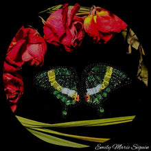 Load image into Gallery viewer, &#39;Emerald Swallowtail&#39; - Beaded Butterfly Earrings
